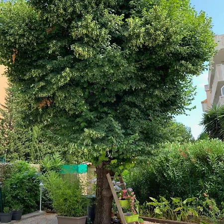 Apartament Maison Centre Climatisee 2 Terrasse