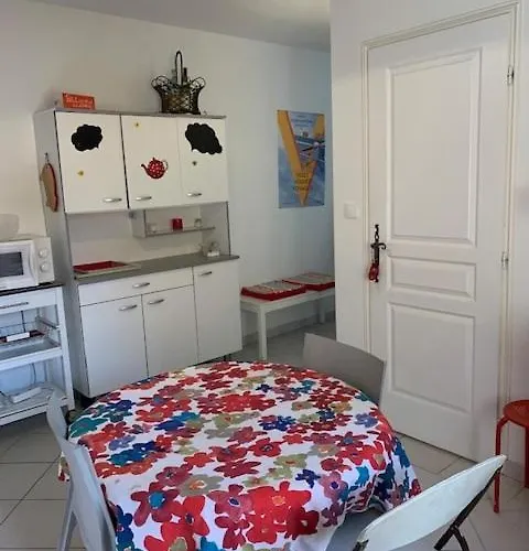 Maison Centre Climatisee 2 Terrasse *