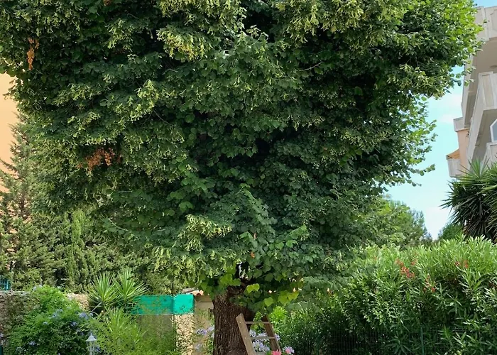 Lejlighed Maison Centre Climatisee 2 Terrasse